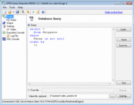 DTM Query Reporter screenshot